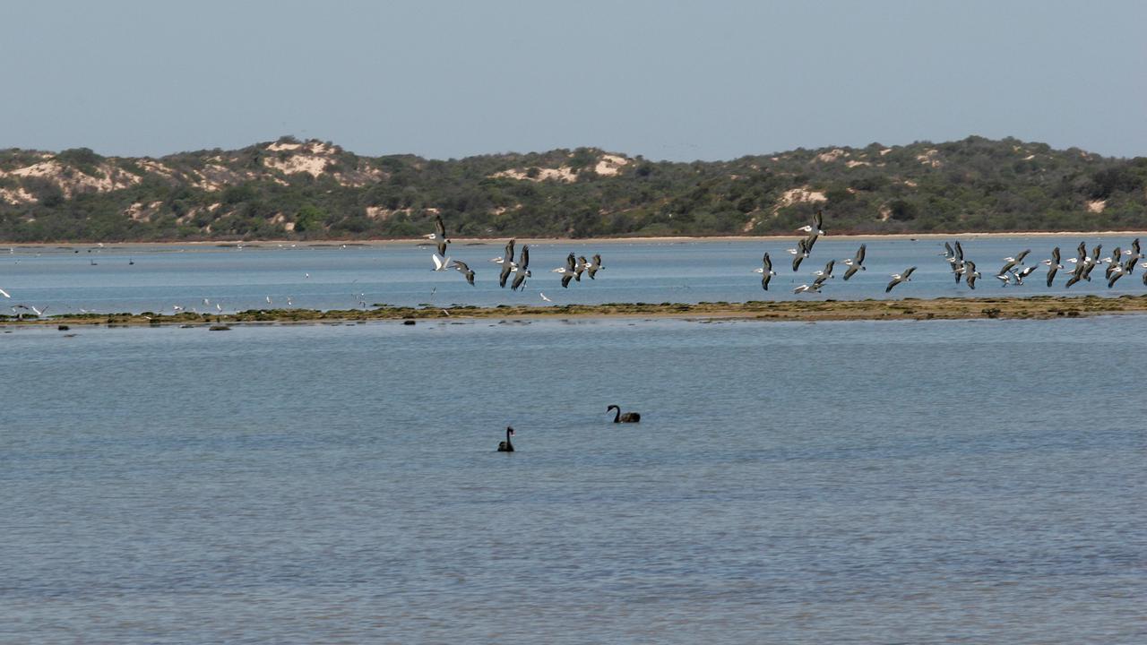 The Murray-Darling Plan will return 13% of the required water by its 2024 deadline, a study says.