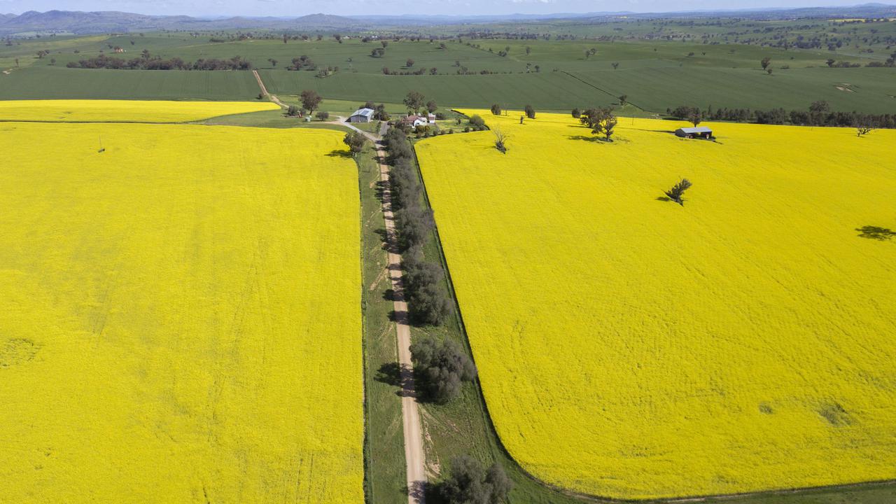 Australia is looking at a second consecutive near-record winter crop planting.