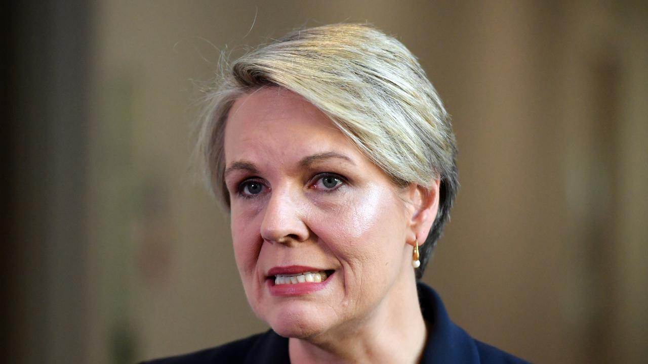 Labor's Tanya Plibersek has criticised government handling of universities during the pandemic.